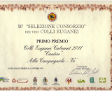  1° Premio 2013