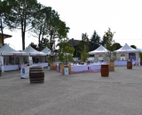 Gran galà del gusto 2015