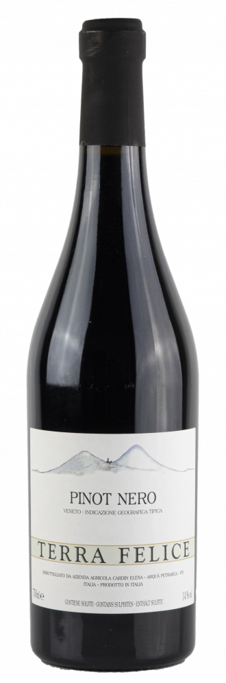 Pinot nero igt del veneto terra felice cl.0.75