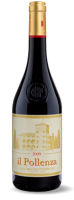 Red wines Il Pollenza, vendita online