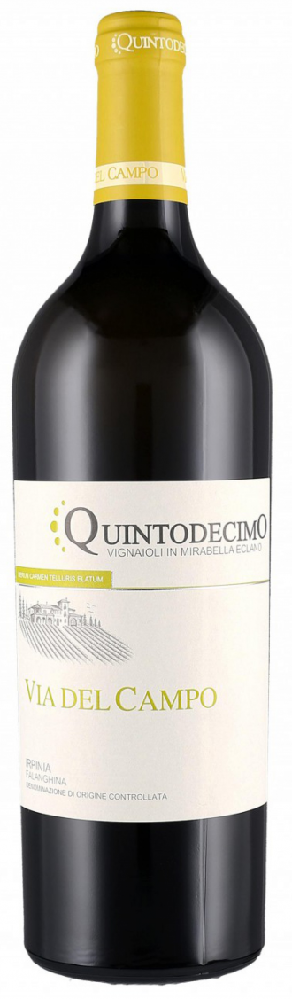 Falanghina quintodecimo via del campo