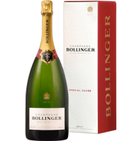 Champagne Bollinger Special Cuvee Magnum Champagne, vendita online
