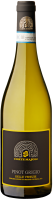White Corte Majoli Pinot Grigio IGT, vendita online